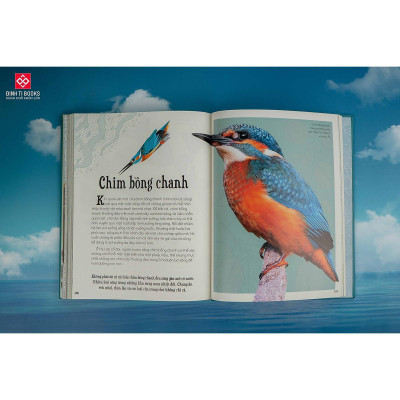 Sách - Bách Khoa Thư Kỳ Thú Về Vũ Trụ - Đinh Tị Books