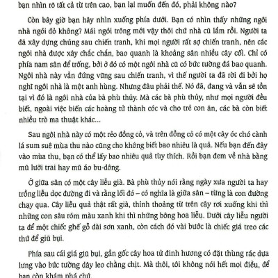 Cánh Đồng Hoa Cúc Ngưu Bàng