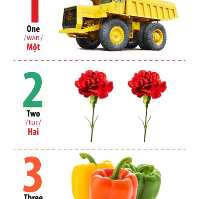 Từ Điển Bằng Hình - Song Ngữ Anh-Việt - Chữ Cái Và Số Đếm