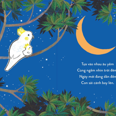 Sách - Thủ Thỉ Cùng Con - Sải Cánh Tung Bay