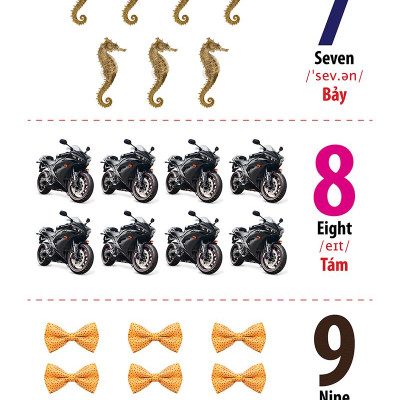 Từ Điển Bằng Hình - Song Ngữ Anh-Việt - Chữ Cái Và Số Đếm