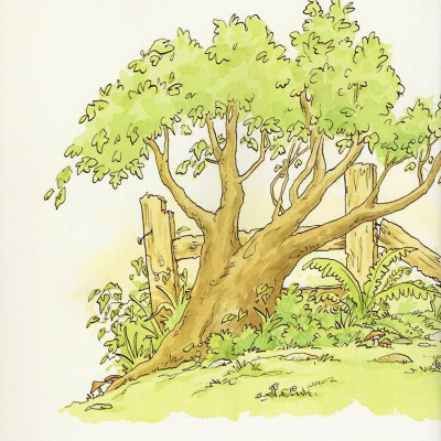 Con Yêu Bố Chừng Nào (Tái Bản)