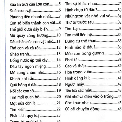 Sân Chơi Trí Tuệ Cho Trẻ - Rèn Luyện Tư Duy Não Trái + Phát Triển Sáng Tạo Não Phải - Dành Cho Bé 4-5 Tuổi - Tập 1