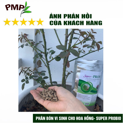Combo bộ phân bón hữu cơ PMP trồng cà chua bạch tuộc - Phân cải tạo đất Fermic - Super Probio - Soymic V – Đạm Cá - Bã Mía