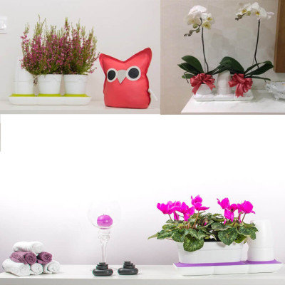 Combo 2 Bộ Chậu Tự Dưỡng Trồng Rau sạch, Trồng Cây Xanh Để Bàn Basic S & UNO nhập khẩu Bồ Đào Nha dành cho người yêu rau và cây tại nhà 