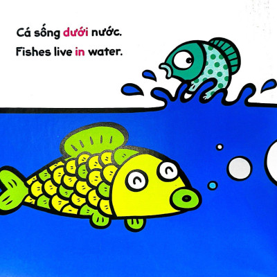 Bé Nhận Thức Thế Giới- Mọi Thứ Ở Đâu?