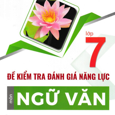 Đề Kiểm Tra Đánh Giá Năng Lực Môn Ngữ Văn Lớp 7