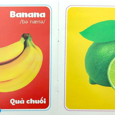 Bộ Sách Từ Điển Bằng Hình Cho Bé (Song Ngữ Anh-Việt) - Bộ 10 Cuốn