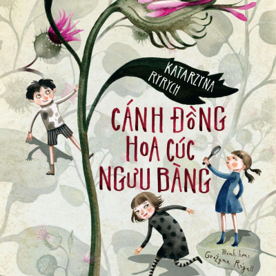 Cánh Đồng Hoa Cúc Ngưu Bàng