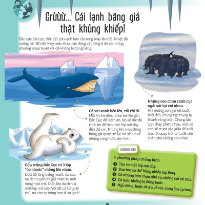 Khám Phá Đầu Tiên Của Tớ Về - Những Kỷ Lục Thế Giới