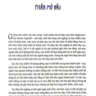 Cánh Đồng Hoa Cúc Ngưu Bàng