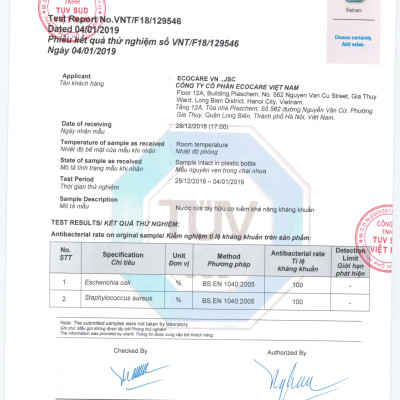 Nước rửa tay hữu cơ diệt khuẩn dạng bọt hương Quế 4L thương hiệu Ecocare