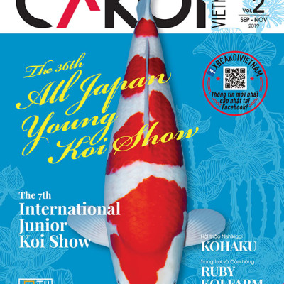 Cá Koi Vietnam - Combo 3 cuốn (Tập 1, 2, 3)