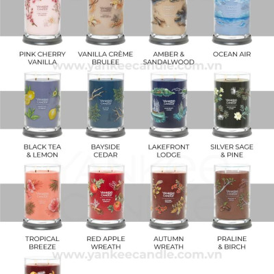 Nến ly tròn sáp đậu nành Yankee Candle size L (567g) - Amber & Sandalwood