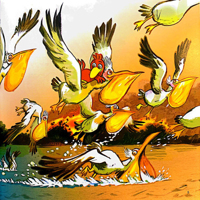 Sách: Lại chuyện xóm gà - Pitikok và con cá có ria