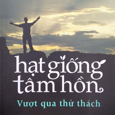 Hạt Giống Tâm Hồn - Tập 9: Vượt Qua Thử Thách (Tái Bản 2022)