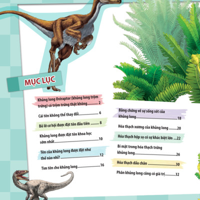 Kiến Thức Về Khủng Long - Khủng Long Oviraptor Có Trộm Trứng Thật Không? Đặt Tên Và Hoá Thạch