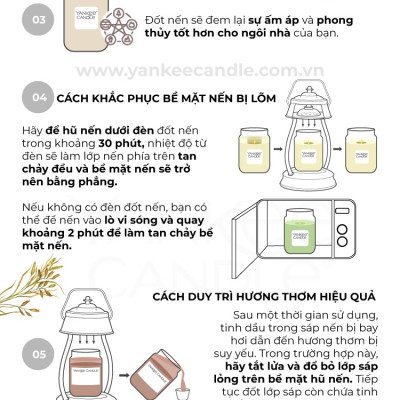 Nến hũ Yankee Candle size L - Balsam & Cedar (623g)