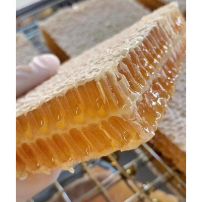 Mật Ong Bánh Tổ Tươi Nguyên Sáp Hộp 500g VietTin Mart
