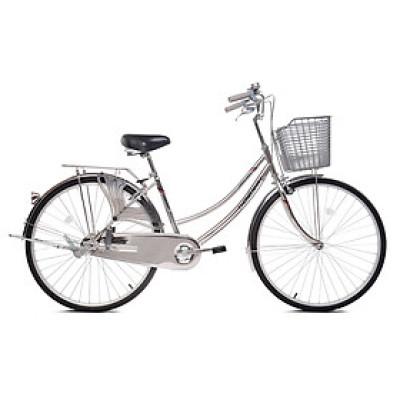 Xe đạp Thống Nhất mini inox 219-05-26