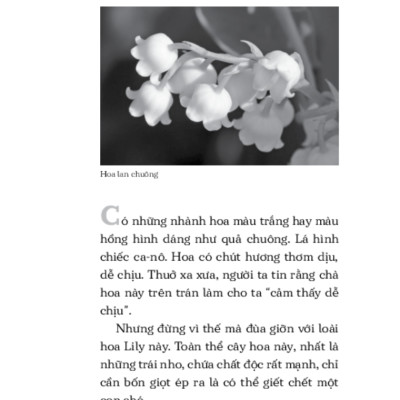 Những Nguy Hiểm Từ Thiên Nhiên _TRE