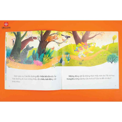 Sách - Cầu vồng cảm xúc - Combo 4 Cuốn - Đinh Tị Books