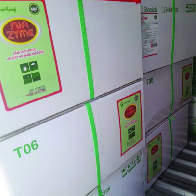 Vi sinh gây màu nước NIAZYME