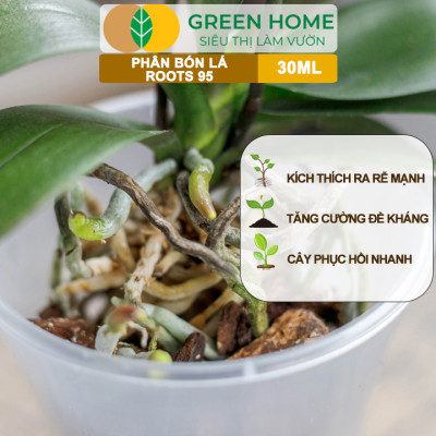 Phân Kích Rễ Cực Mạnh ROOTS 95, GreenHome, Chai 30ml, Kích Ra Rễ Cực Mạnh Chuyên, Cho Hoa Lan