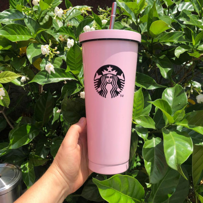 Cốc giữ nhiệt 750ml nhiều mầu lõi INOX 304 kèm ống hút