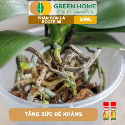 Phân Kích Rễ Cực Mạnh ROOTS 95, GreenHome, Chai 30ml, Kích Ra Rễ Cực Mạnh Chuyên, Cho Hoa Lan