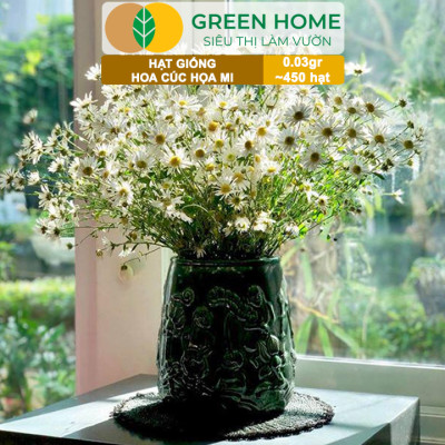 Hạt Giống Cúc Hoạ Mi Greenhome, Gói 0,03gr~450 hạt, Dễ Trồng Quanh Năm, Hoa Trắng, Nhuỵ Vàng H04