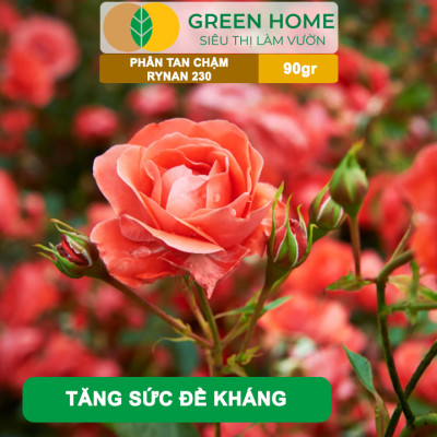 Phân Tan Chậm GreenHome, Rynan 230, Bao 90g ~ 30 Túi Lưới 3g, Dùng Cho Hoa Kiểng Trước Khi Ra Hoa