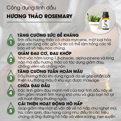Combo 3 Tinh Dầu Xông Phòng Kobi: Tinh Dầu Khuynh Diệp (30ml) + Tinh Dầu Sả Chanh (30ml) + Tinh Dầu Hương Thảo (30ml) - Tinh Dầu Thiên Nhiên Nguyên Chất, Tốt Cho Bé Sơ Sinh, Giúp Giữ Ấm Cơ Thể, Phòng Ngừa Bệnh Hô Hấp Hiệu Quả