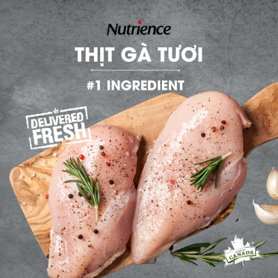Thức Ăn Cho Chó Giống Nhỏ Nutrience Infusion Bao 2.27kg - Thịt Gà, Rau Củ & Trái Cây Tự Nhiên
