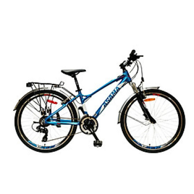 Xe đạp thể thao ASAMA TRK-PK2601 26"