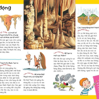 Vì Sao? Như Thế Nào? Thế Giới Tự Nhiên (Tái Bản)