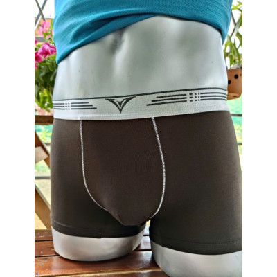 Quần Lót Nam Boxer Davie Mã DVCT034 Co Giãn 4 Chiều, Thoải Mái Và Thấm Hút Mồ Hôi