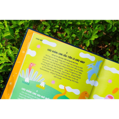 Sách - 366 câu hỏi lý thú của trẻ - Everything Under The Sun - Đinh Tị Books