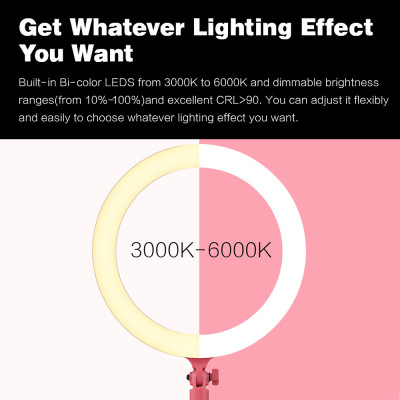 Godox LR120 12 inch LED Ring Light cho Studio,Nhiếp ảnh với Ánh sáng lấp đầy 3000K-6000K Nhiệt độ hai màu có thể điều chỉnh