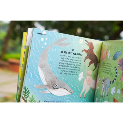 Sách - 366 câu hỏi lý thú của trẻ - Everything Under The Sun - Đinh Tị Books