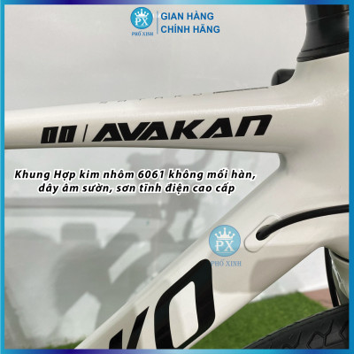 Xe đạp đua SATAKO Akavan