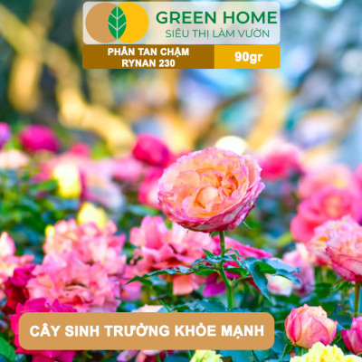Phân Tan Chậm GreenHome, Rynan 230, Bao 90g ~ 30 Túi Lưới 3g, Dùng Cho Hoa Kiểng Trước Khi Ra Hoa