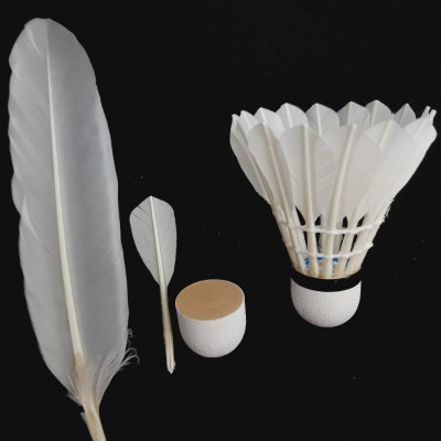 Hộp 12 quả cầu lông hộp xanh