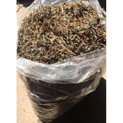 Cây Nhọ Nồi Khô / Cây Cỏ Mực Khô