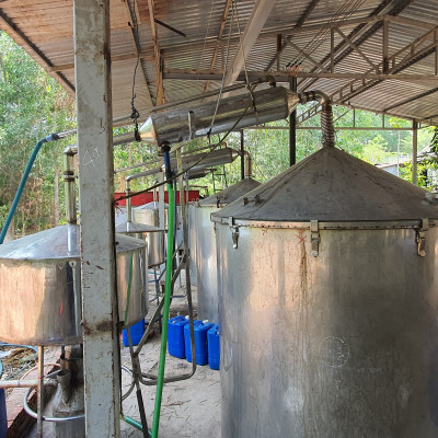 Tinh dầu Hương Nhu 50ml Mộc Mây - tinh dầu thiên nhiên nguyên chất 100% - chất lượng và mùi hương vượt trội - chuyên gia chăm sóc tóc hư tổn