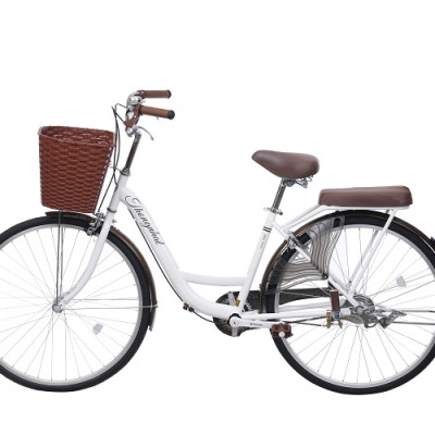 Xe đạp Thống Nhất mini New 26-Hàng chính hãng