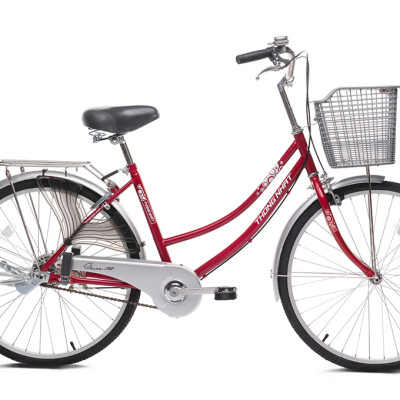 Xe đạp Thống Nhất mini 219 –24/ 26″