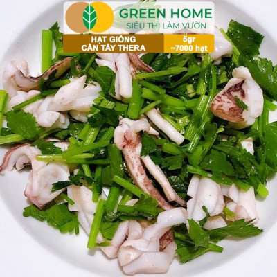 Hạt Giống Cần Tây Thera GreenHome, Gói 5g~700 hạt, Chịu Nhiệt Tốt, Năng Suất Cao, Nảy Mầm Đều G17