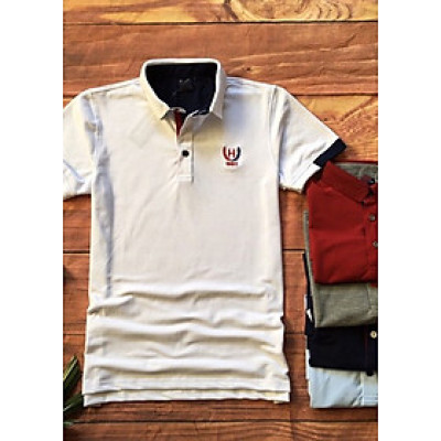 Áo thun cá sấu nam lịch lãm