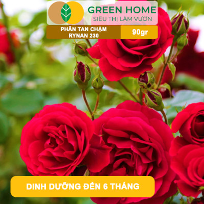 Phân Tan Chậm GreenHome, Rynan 230, Bao 90g ~ 30 Túi Lưới 3g, Dùng Cho Hoa Kiểng Trước Khi Ra Hoa